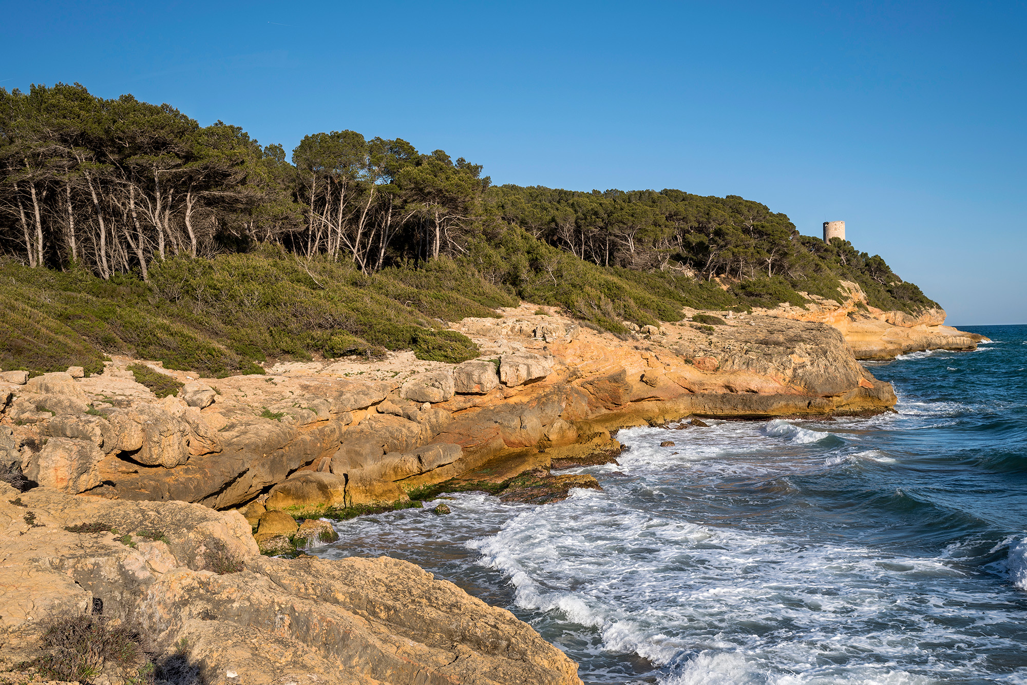 La torre de la Móra i el bosc de la Marquesa són dos espais emblemàtics del camí de ronda que uneix Tarragona amb Altafulla.