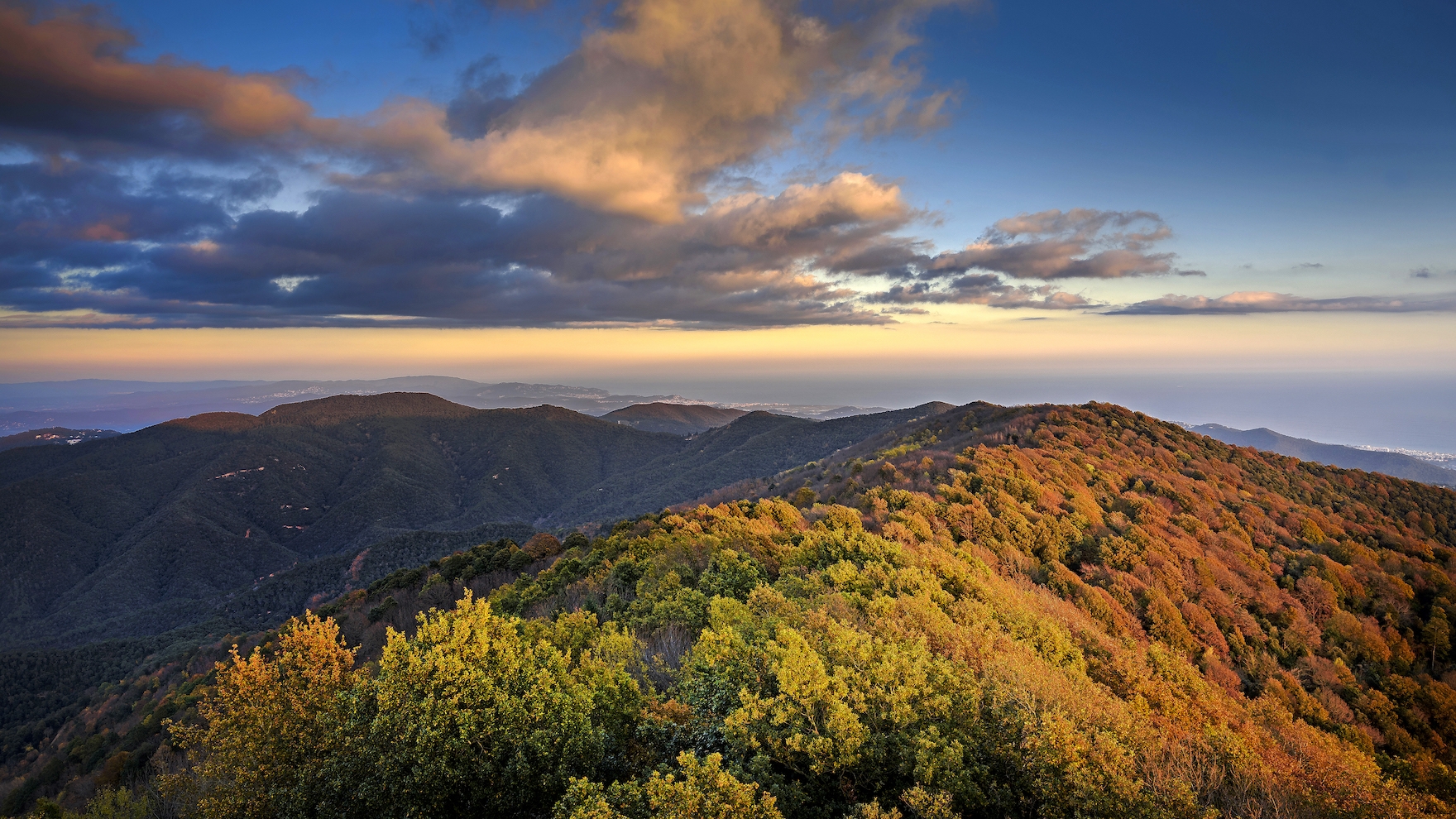 El turó Gros és una excel·lent talaia del Montnegre, des d’on albirar la immensitat dels seus boscos