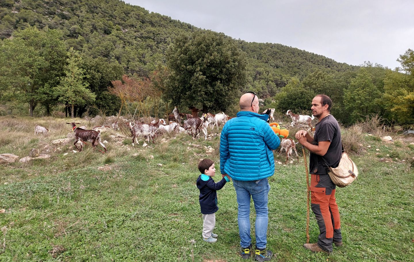 En Sergi és el pastor de Capafonts i ofereix visites per conèixer la seva feina