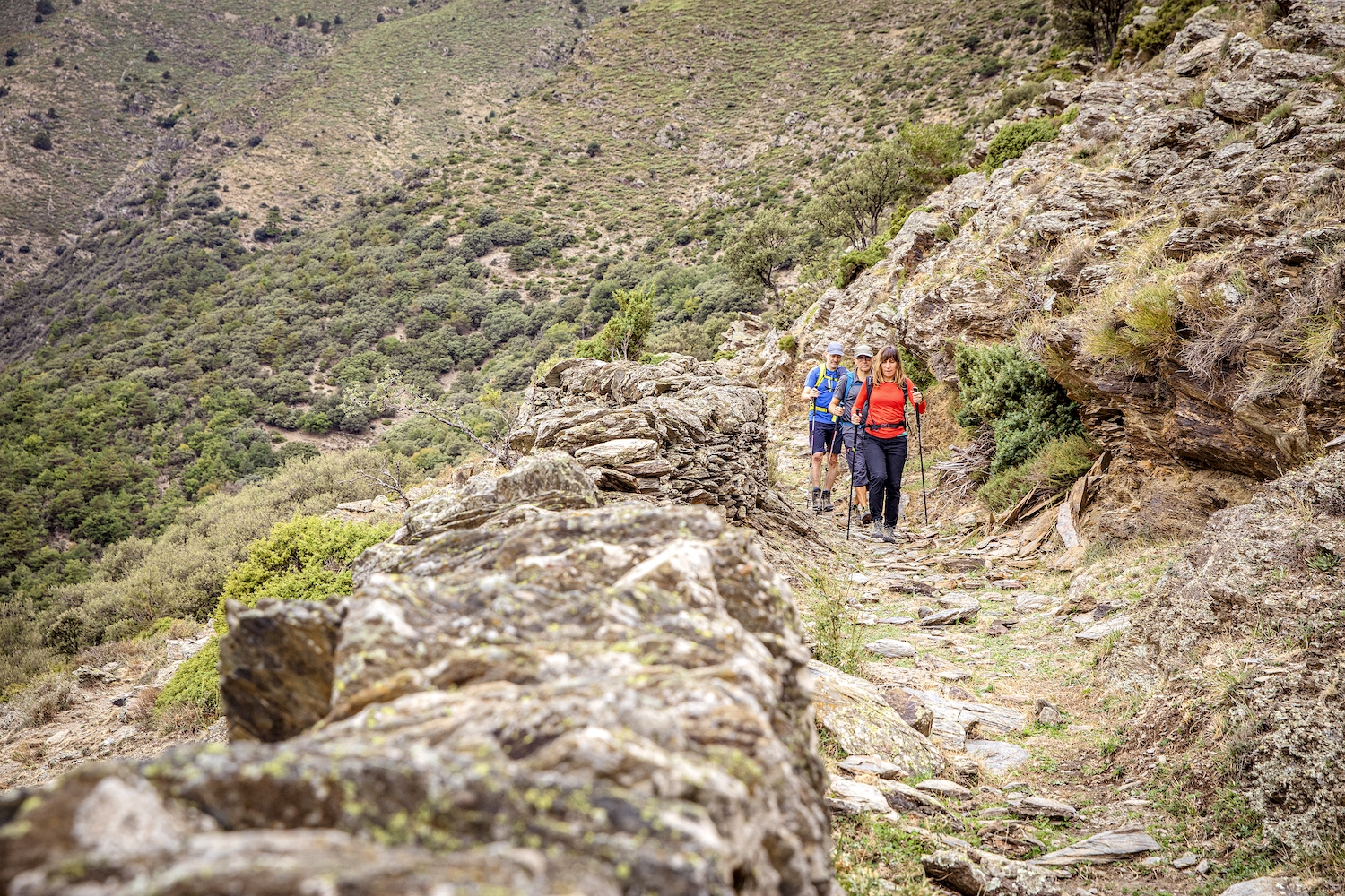 Caminada entre la penya i un mur de pedra seca al camí vell de Sant Romà de Tavèrnoles, al terme de Llavorsí