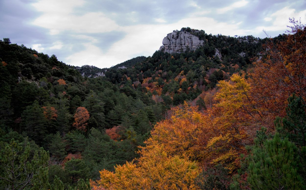 Els colors de la fageda del Retaule són un espectacle a la tardor