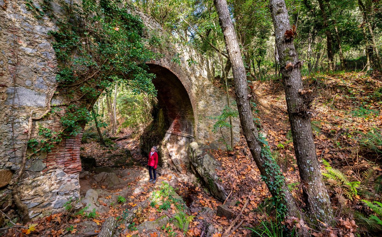 Pont de Can Plana, camí cap a Olzinelles