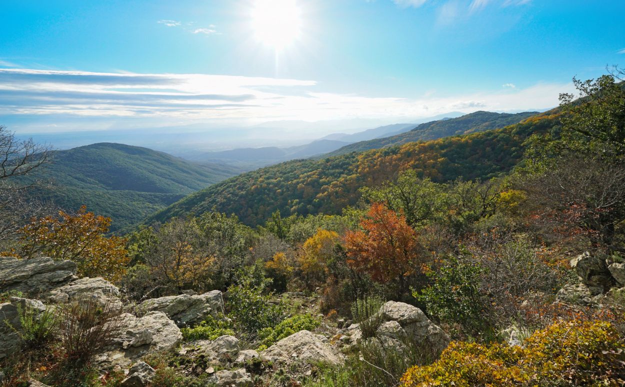 Les vistes de l'Albera vestida de tardor