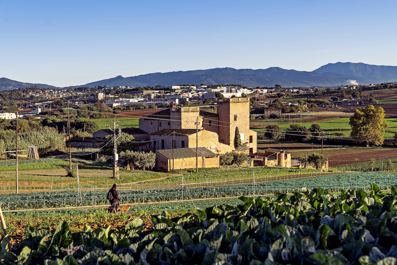 La Torre de Malla és una masia fortificada de Gallecs que ja apareix en un document de l’any 904