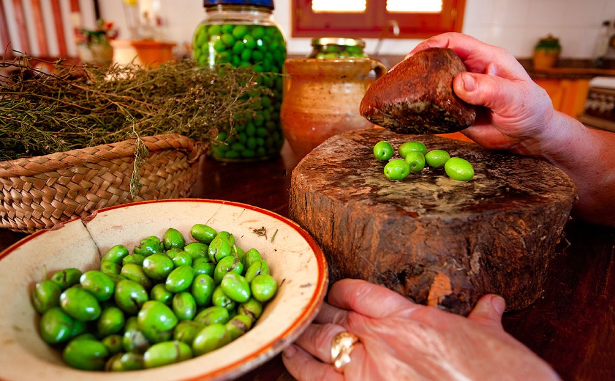 Descobreix la cultura i origen de la creació de l'oli a Santa Bàrbara