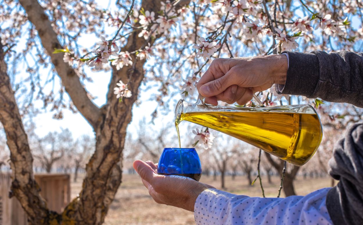 L'oliva arberquina és la que s'utilitza per crear aquest oli de color i sabor únics