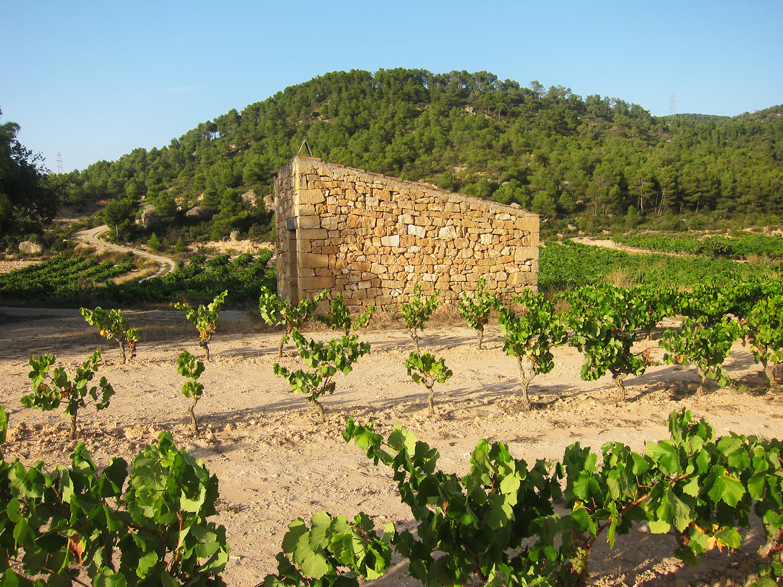 Construccions de pedra seca, les Garrigues més autèntiques