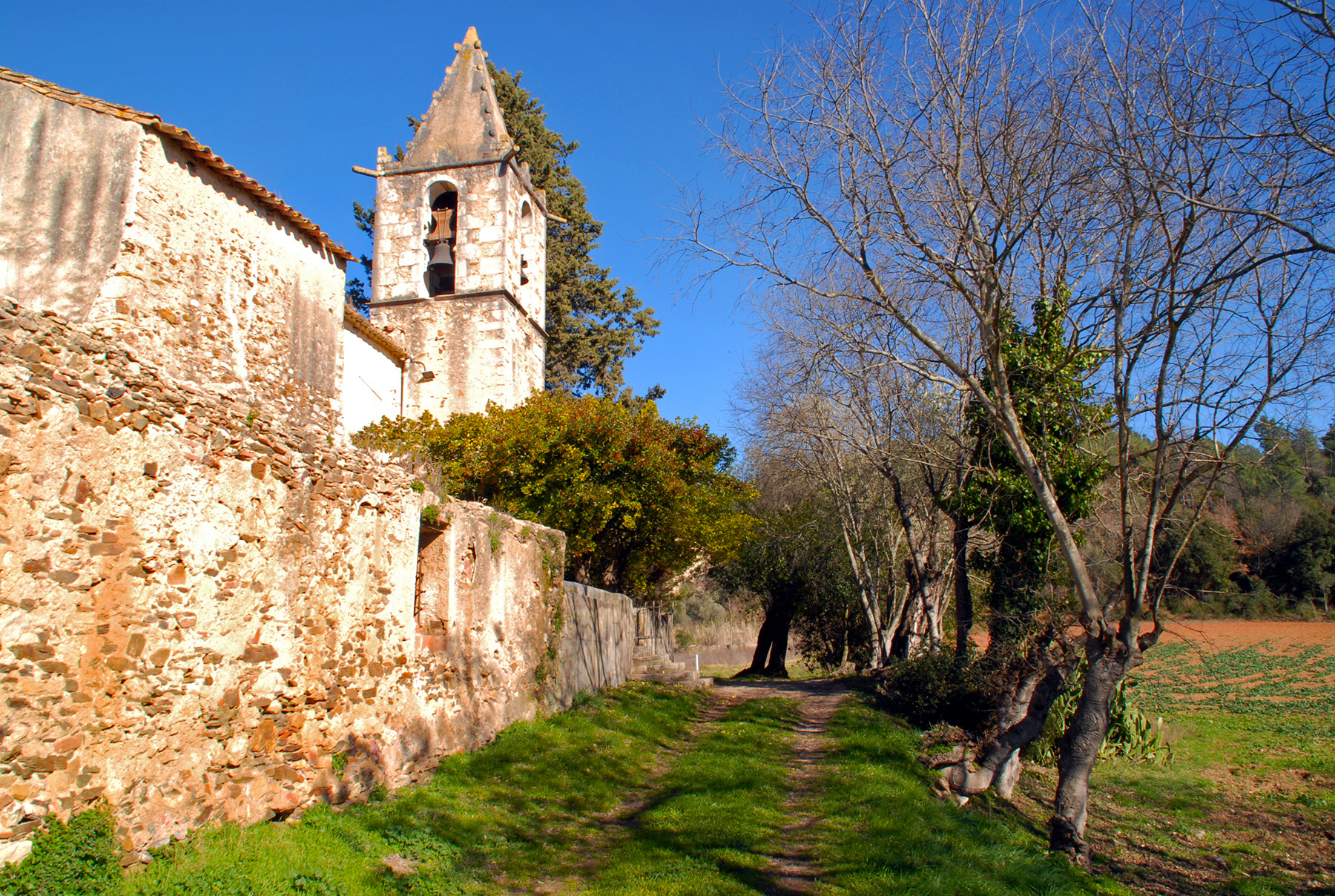 L’església de Sant Sadurní està adossada al castell de Palol, que és de propietat privada