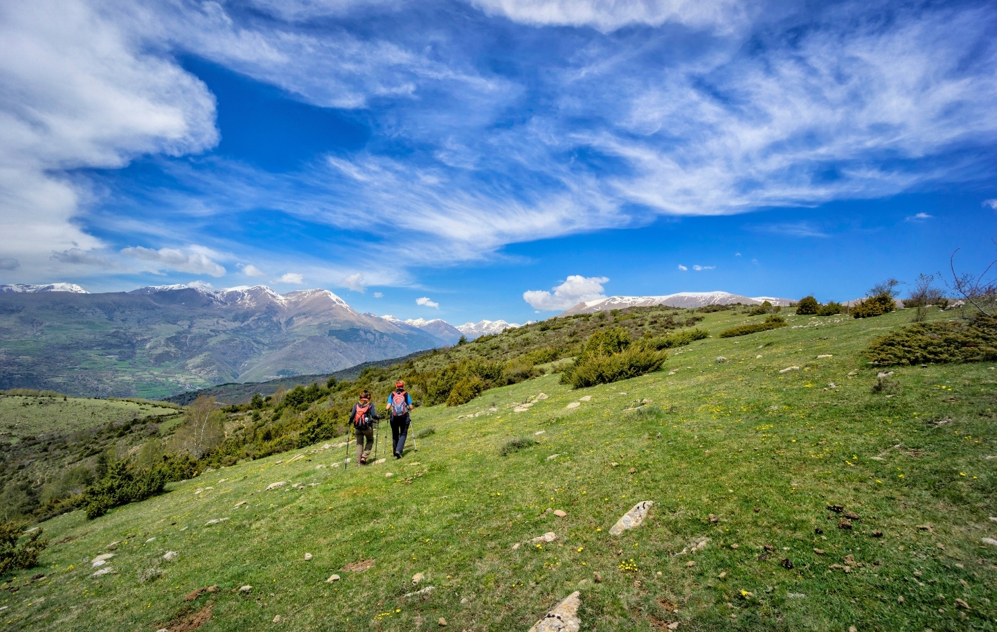 La collada del Clot d’Andol, a la serra Espina