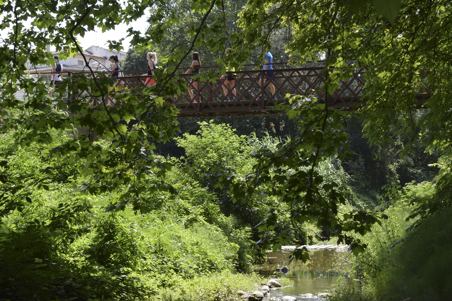 El pont dels Mussons, sobre el riu de Bitlles, a Torrelavit.