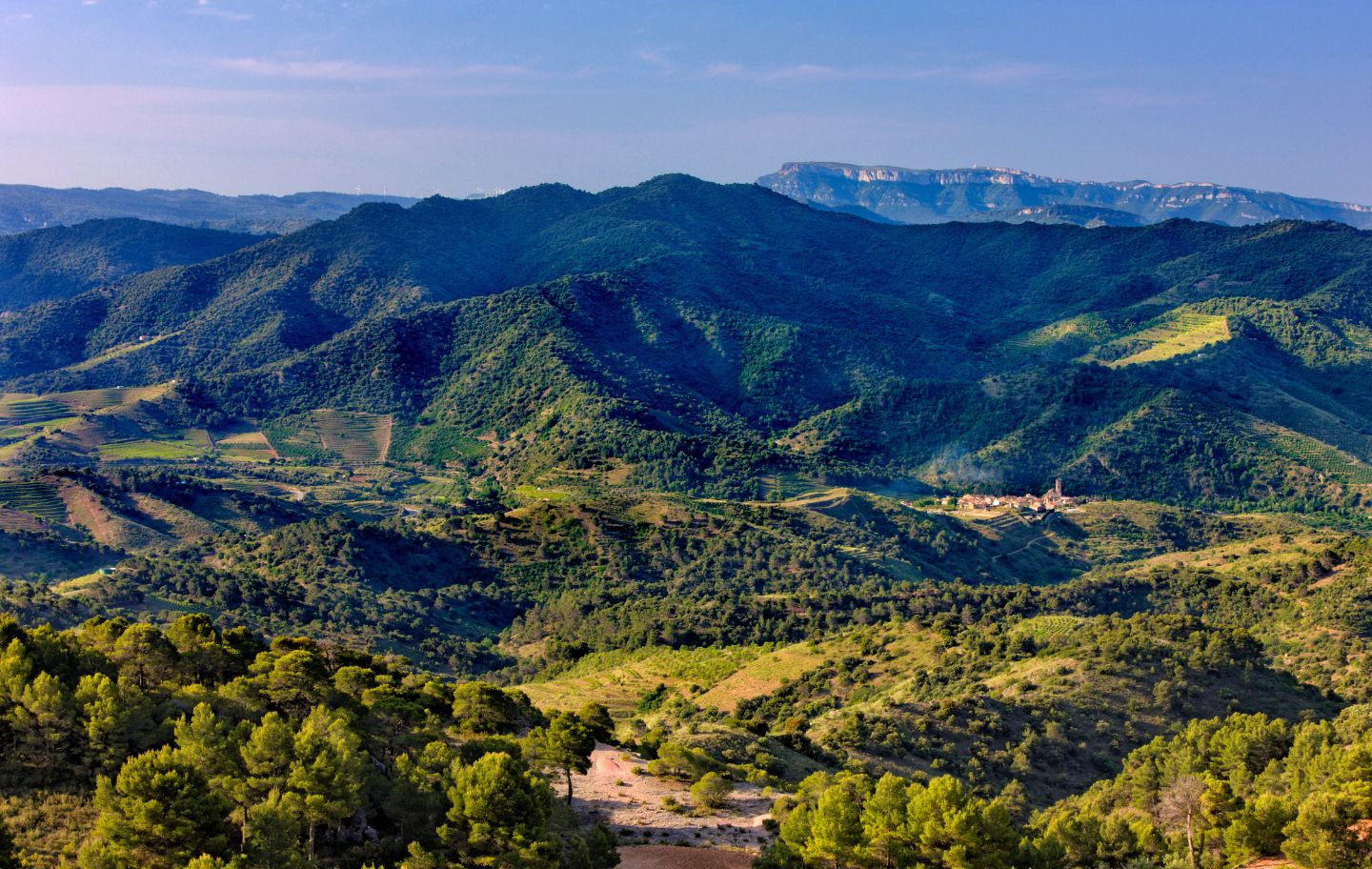 El terme de Poboleda s’estén entre els contraforts de Montsant i el vessant nord de la serra del Molló