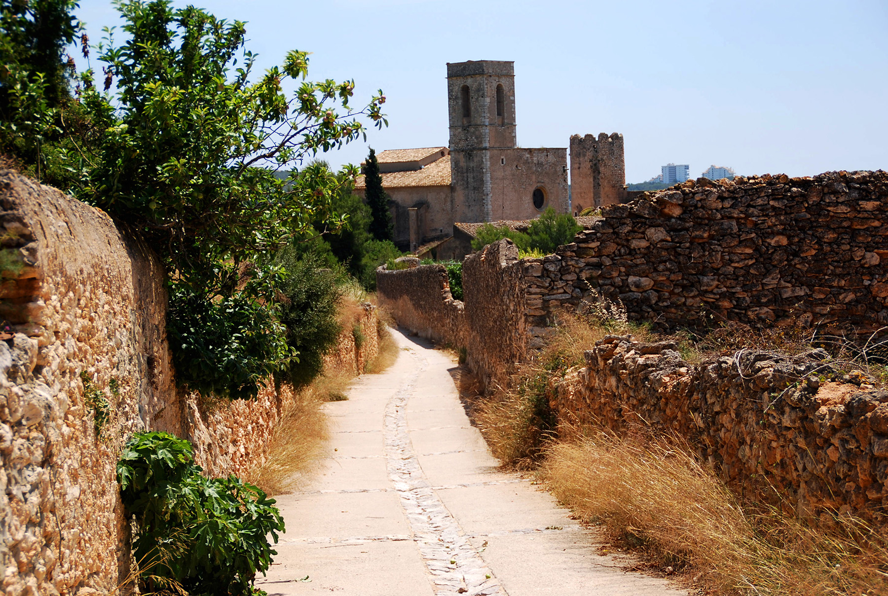 Per aquest camí ens acostem al nucli medieval de Sota-ribes