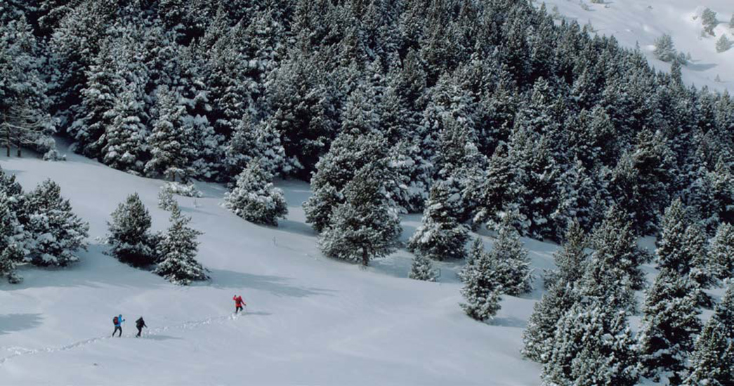 La ruta fins al mirador es pot fer amb raquetes de neu.