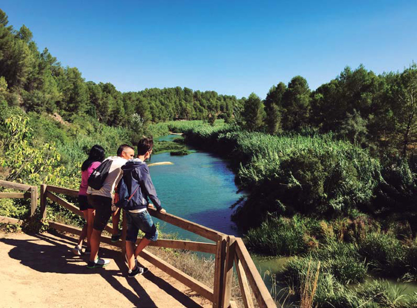 Xops i oms són els reis del bosc de ribera que trobem pel camí.