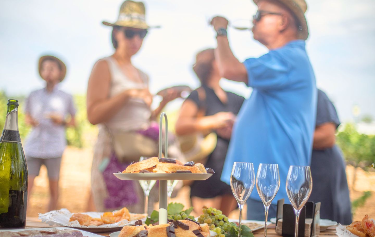 La Ruta del Vi del Penedès ofereix experiències úniques