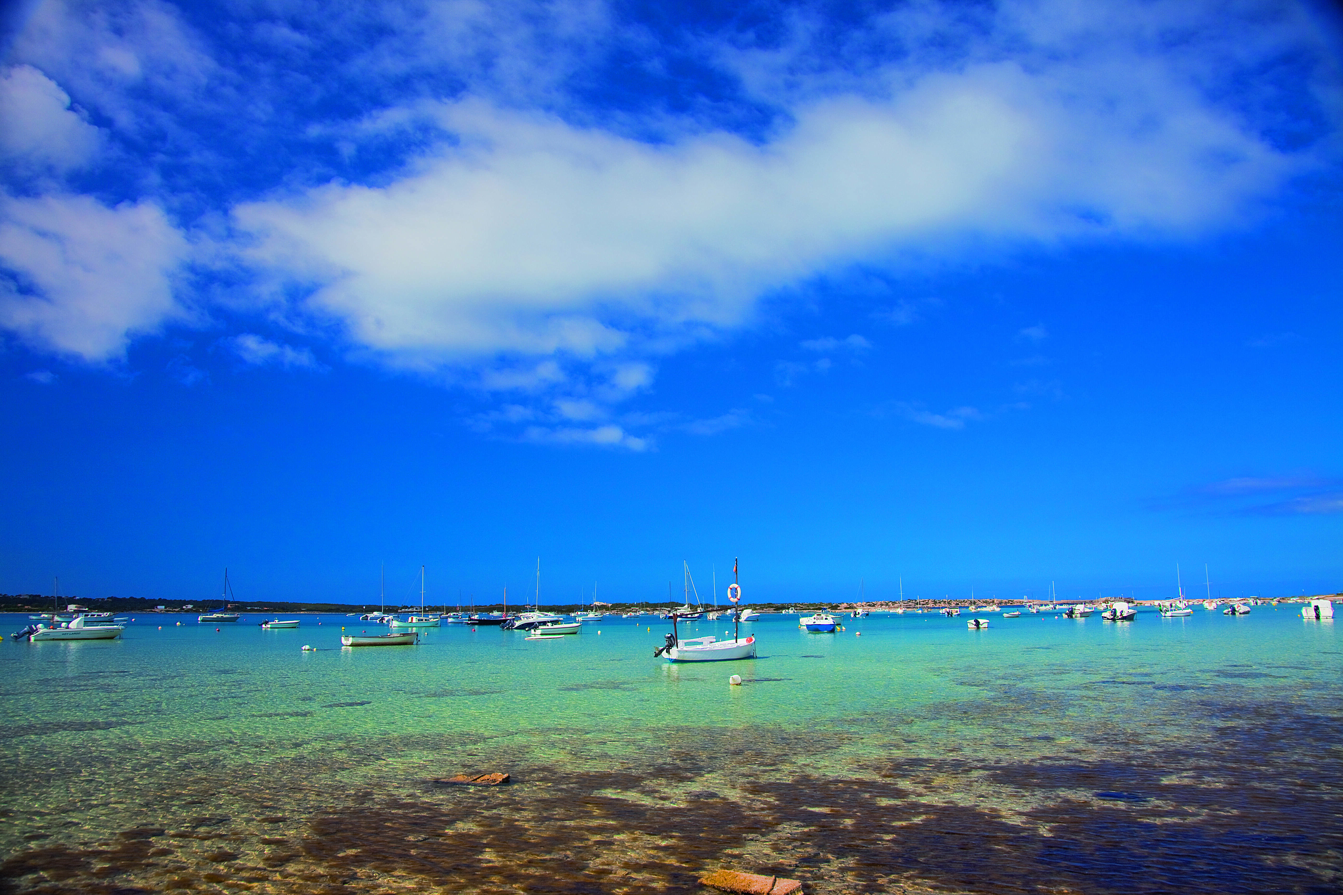 Formentera més enllà del mar: els estanys.