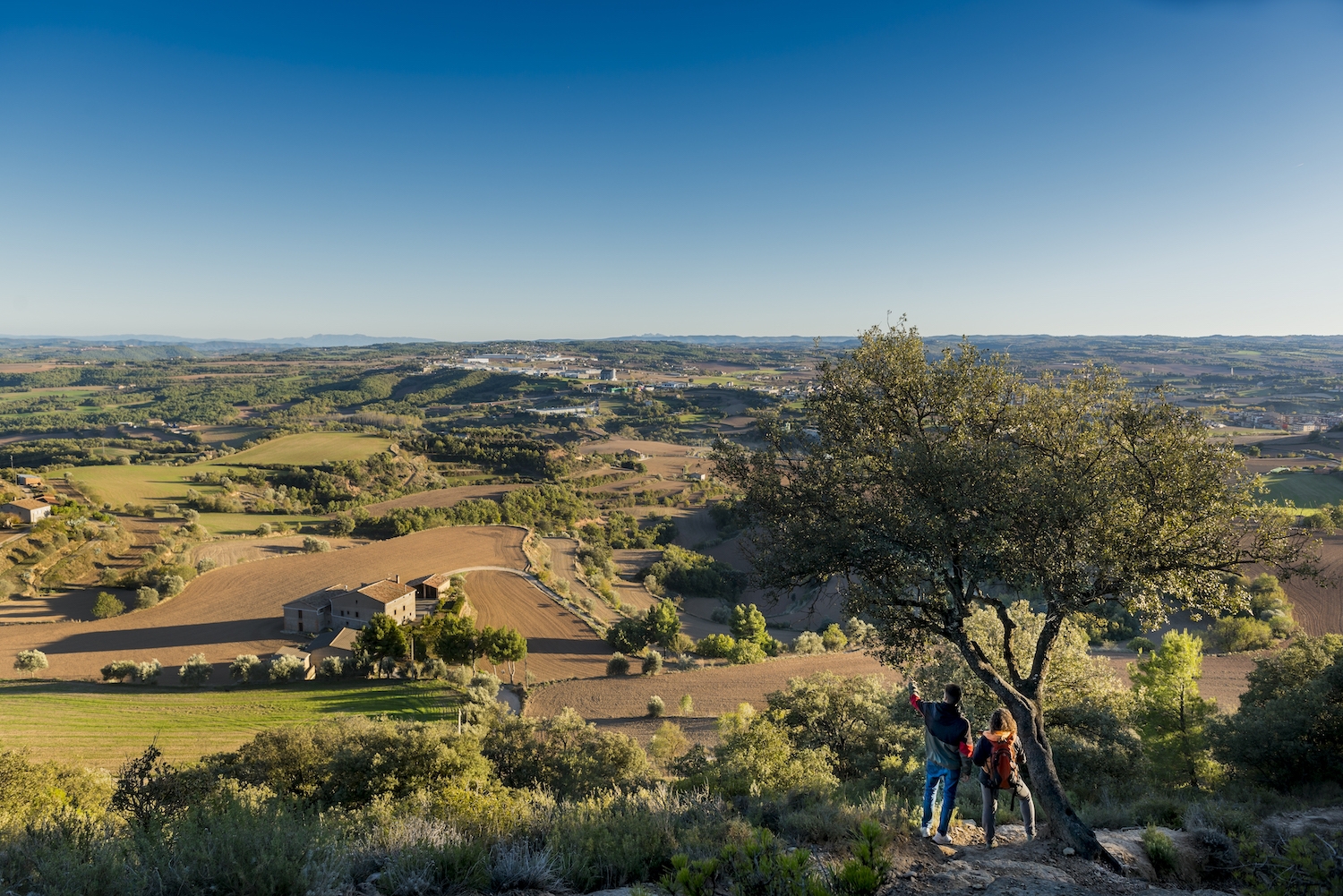 Sant Bartomeu és la talaia de Solsona, amb 850 m d’altitud. És un massís enclavat enmig d’un paisatge dominat per turons i camps de conreu