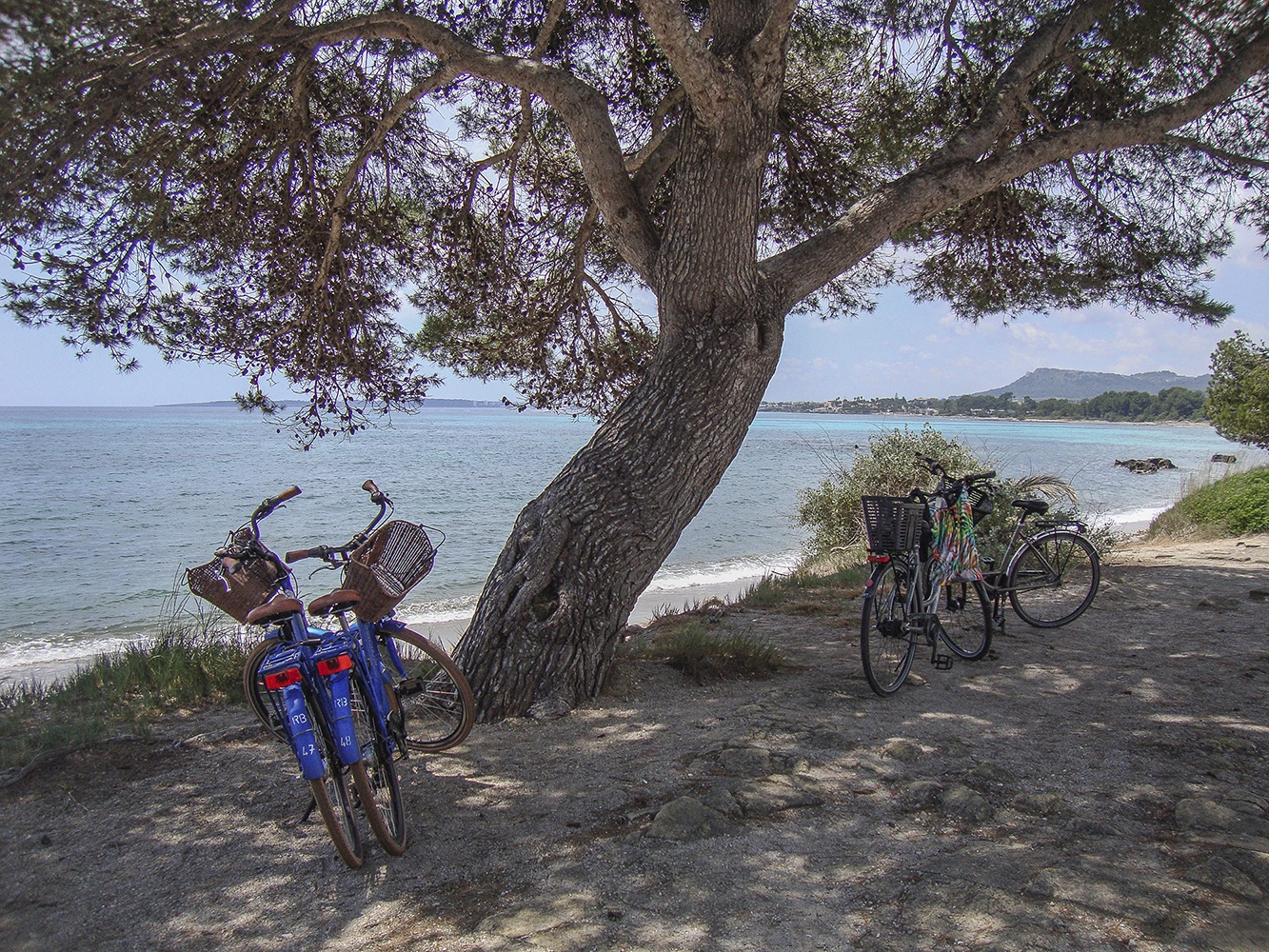 Una ruta pel llevant de Mallorca.