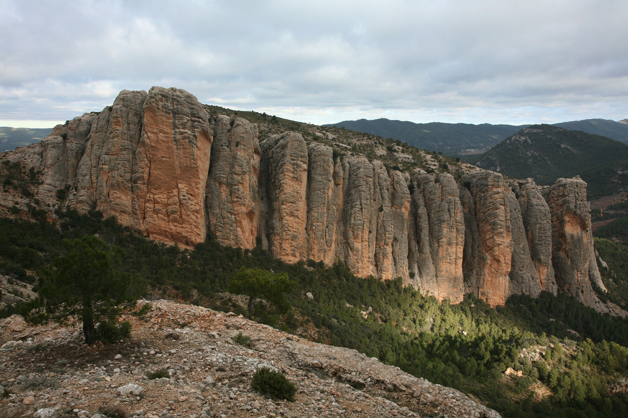 Les roques del Masmut són unes formacions calcàries espec- taculars; hi niuen voltors i arpelles.