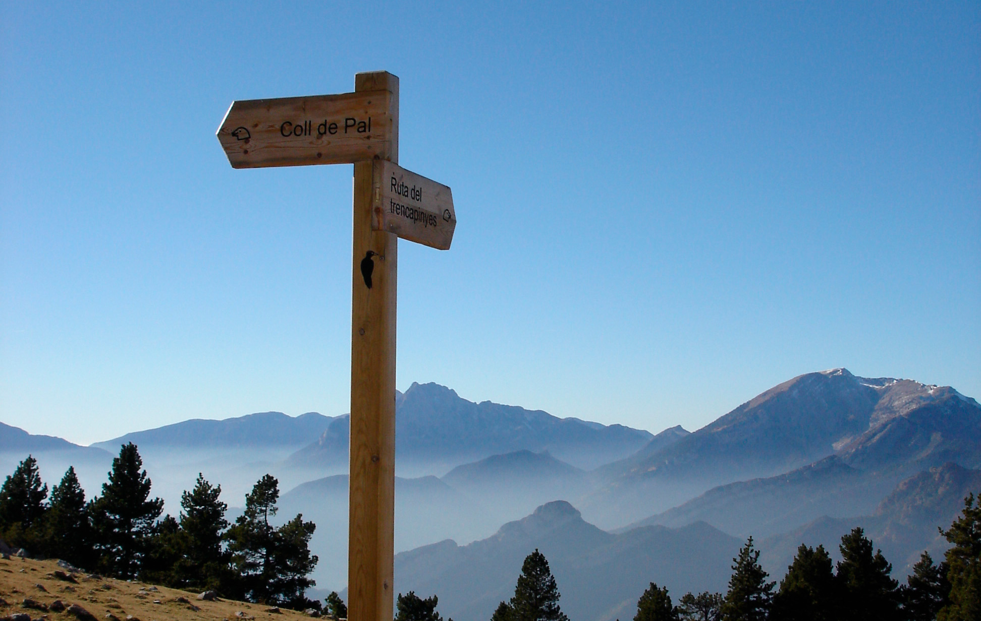 Panoràmica de la serralada de Cadí que es veu durant la ruta