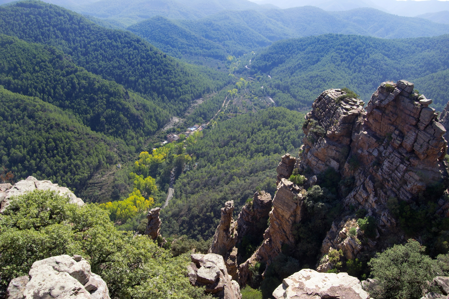 Des dels Orgues de Benitandus s'hi pot observar una panoràmica de l'entorn