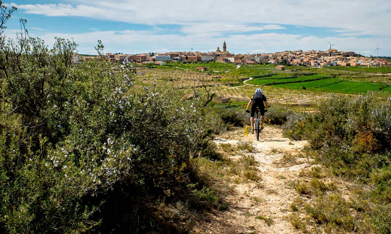 Amb 89 km2 de superfície, el terme de la Granadella és el més gran de les Garrigues.