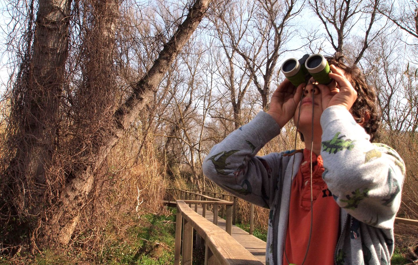 Els binocles són imprescindibles per gaudir de l’avifauna de la zona de l'Aiguabarreig del Segre i el Cinca.