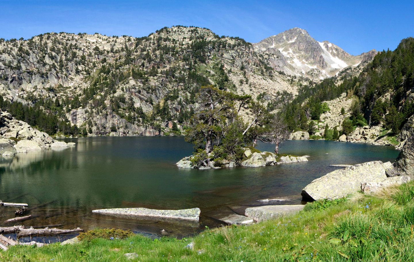 L’estany Negre de Cabanes té una illa al mig, colonitzada per pins centenaris