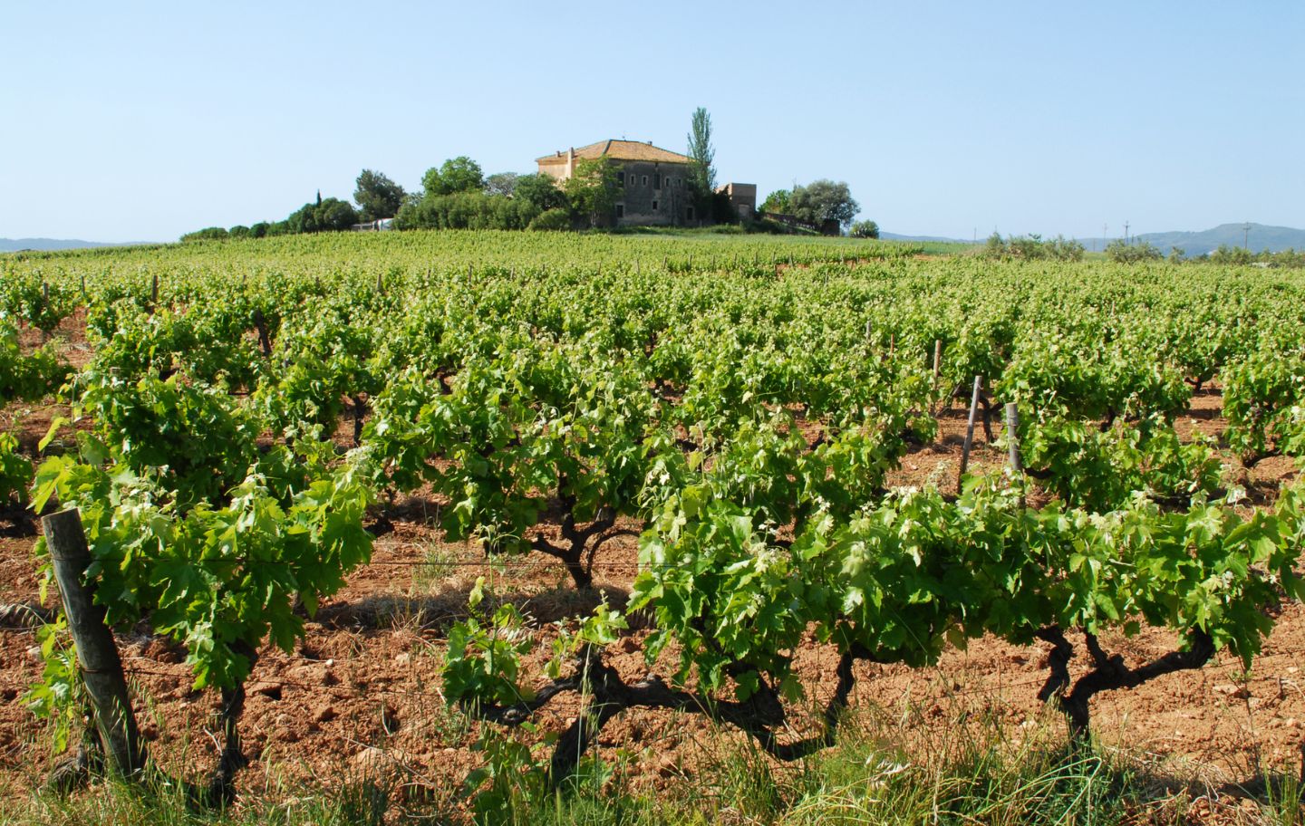 El castell de de Gimenelles, envoltat de vinyes, es avui un hotel rural.