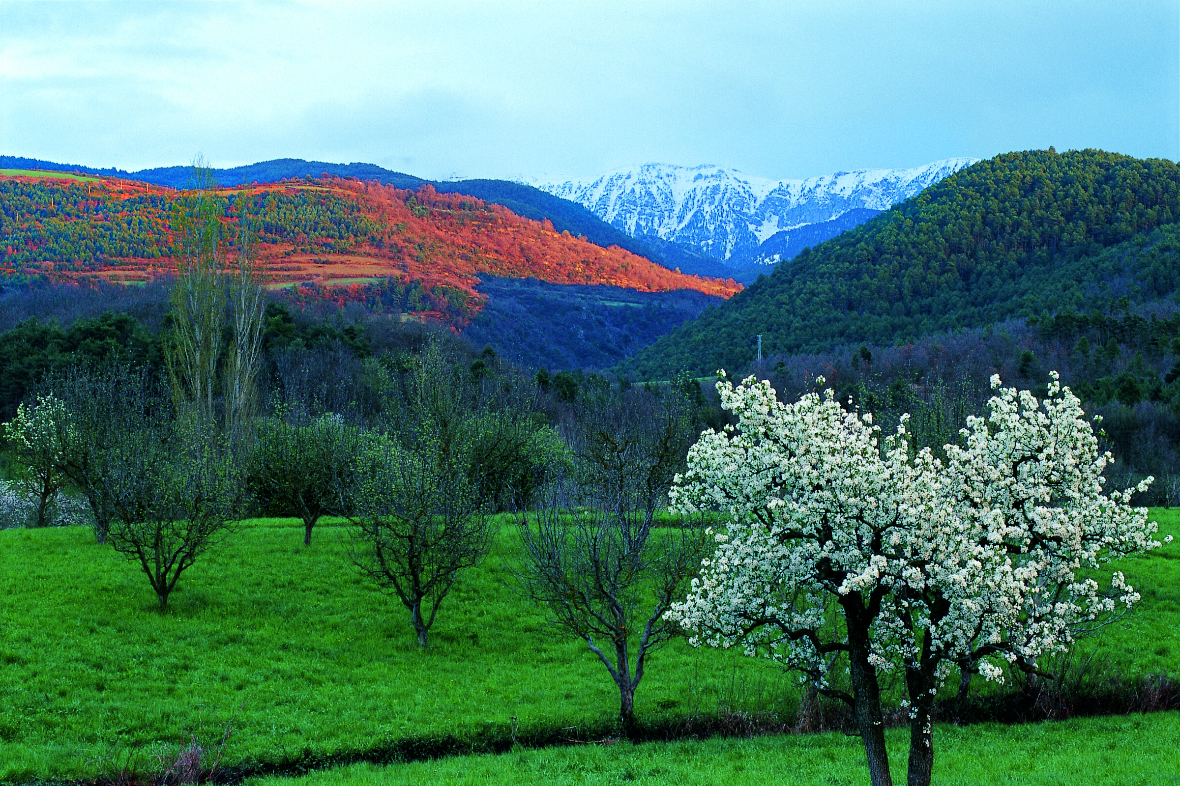 Pels voltants de la Seu d’Urgell