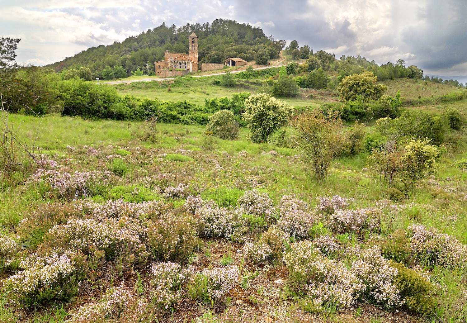 La innocència i la sorpresa se’ns barregen quan topem amb la solemne església de Santa Eulàlia