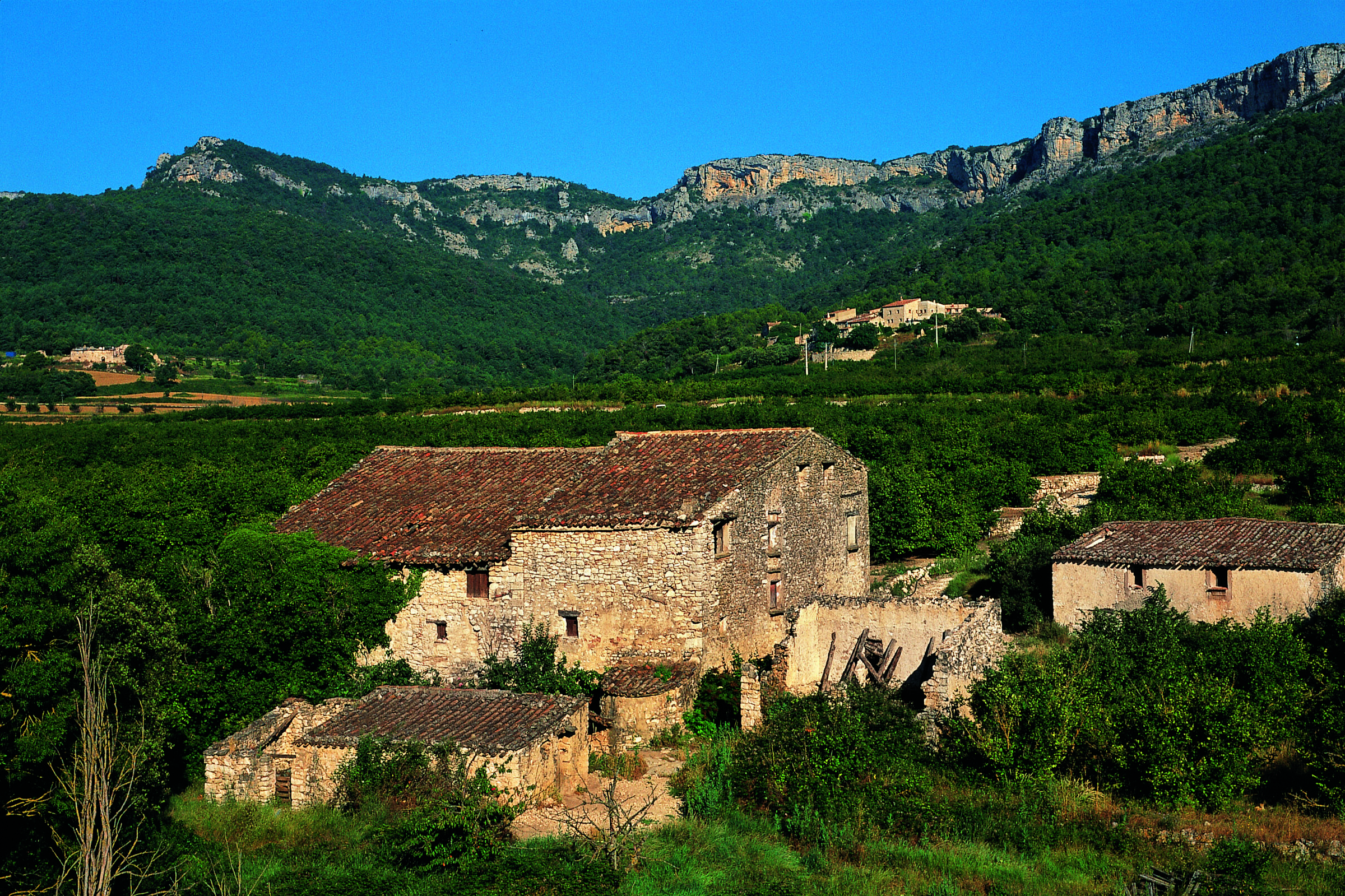 A les Foradades, per terres de llops