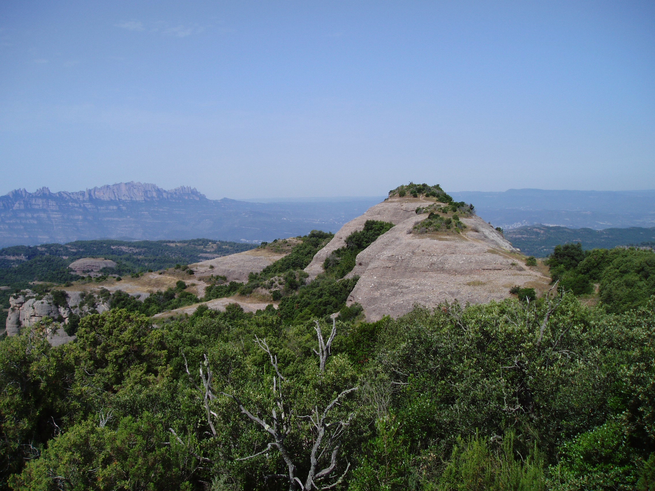 Racons naturals a la serra de l’Obac