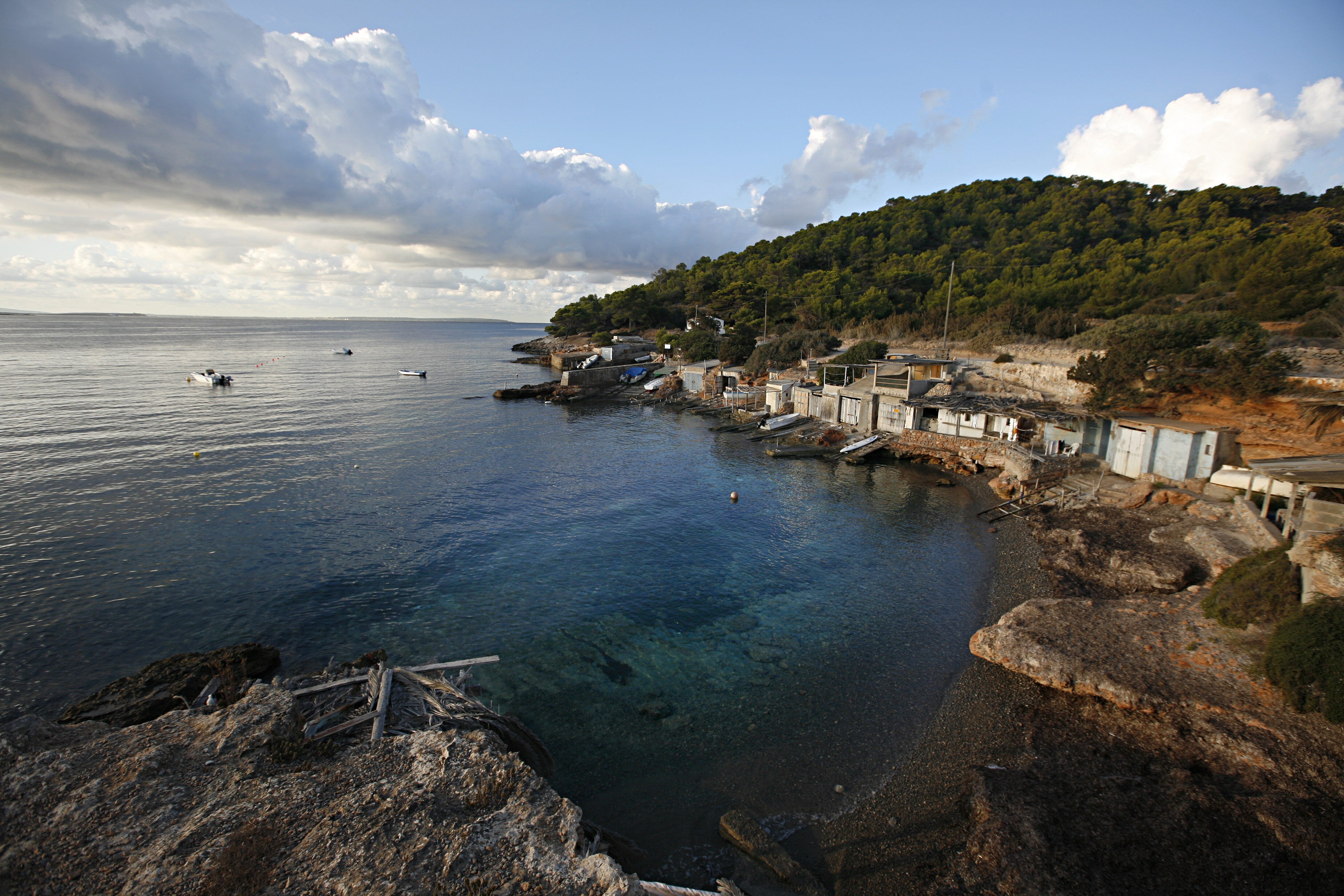 El aiguamolls de l’illa d’Eivissa