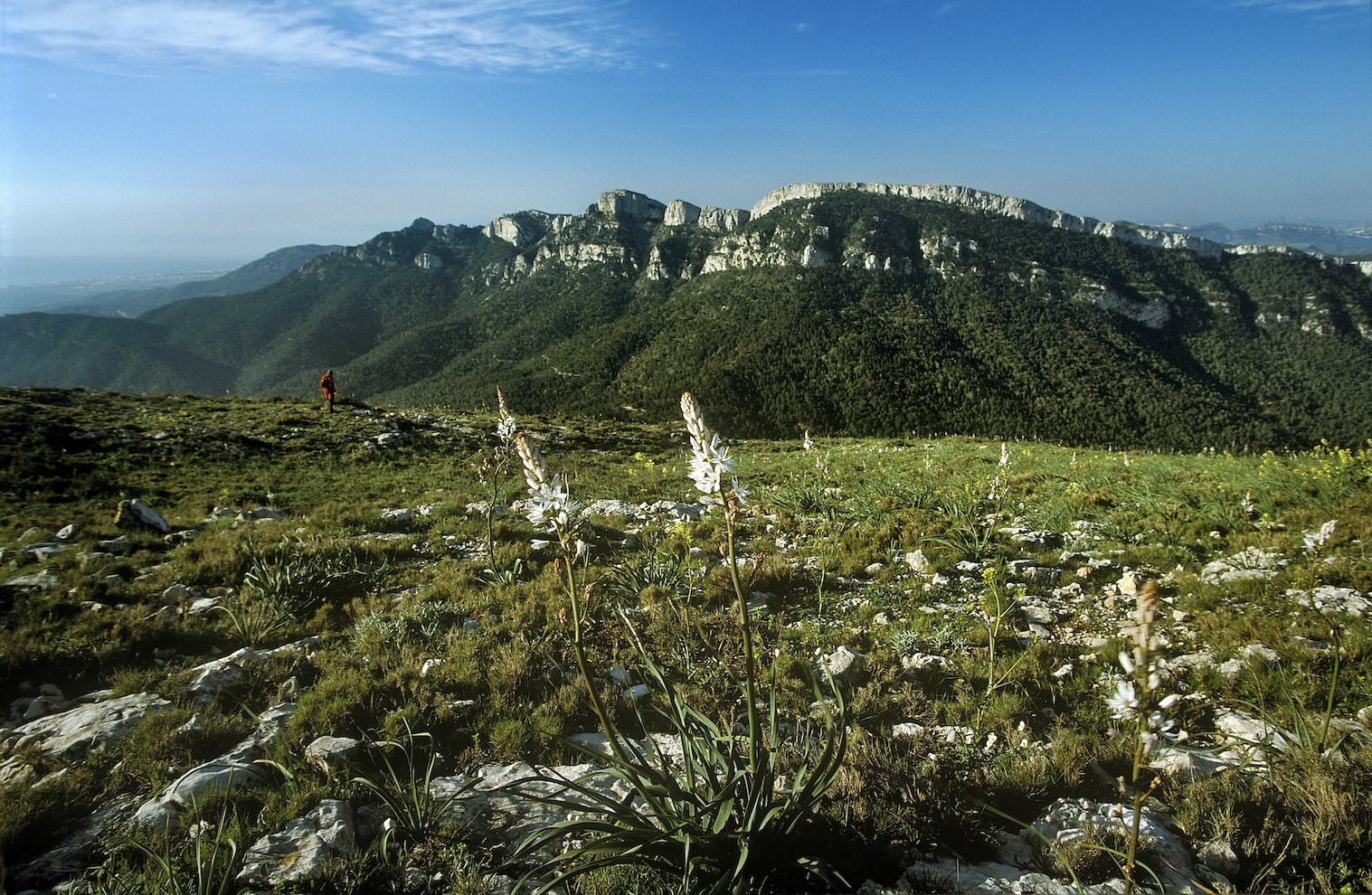 La serra de Llaberia separa el vessant mediterrani del Baix Camp de la cubeta de móra