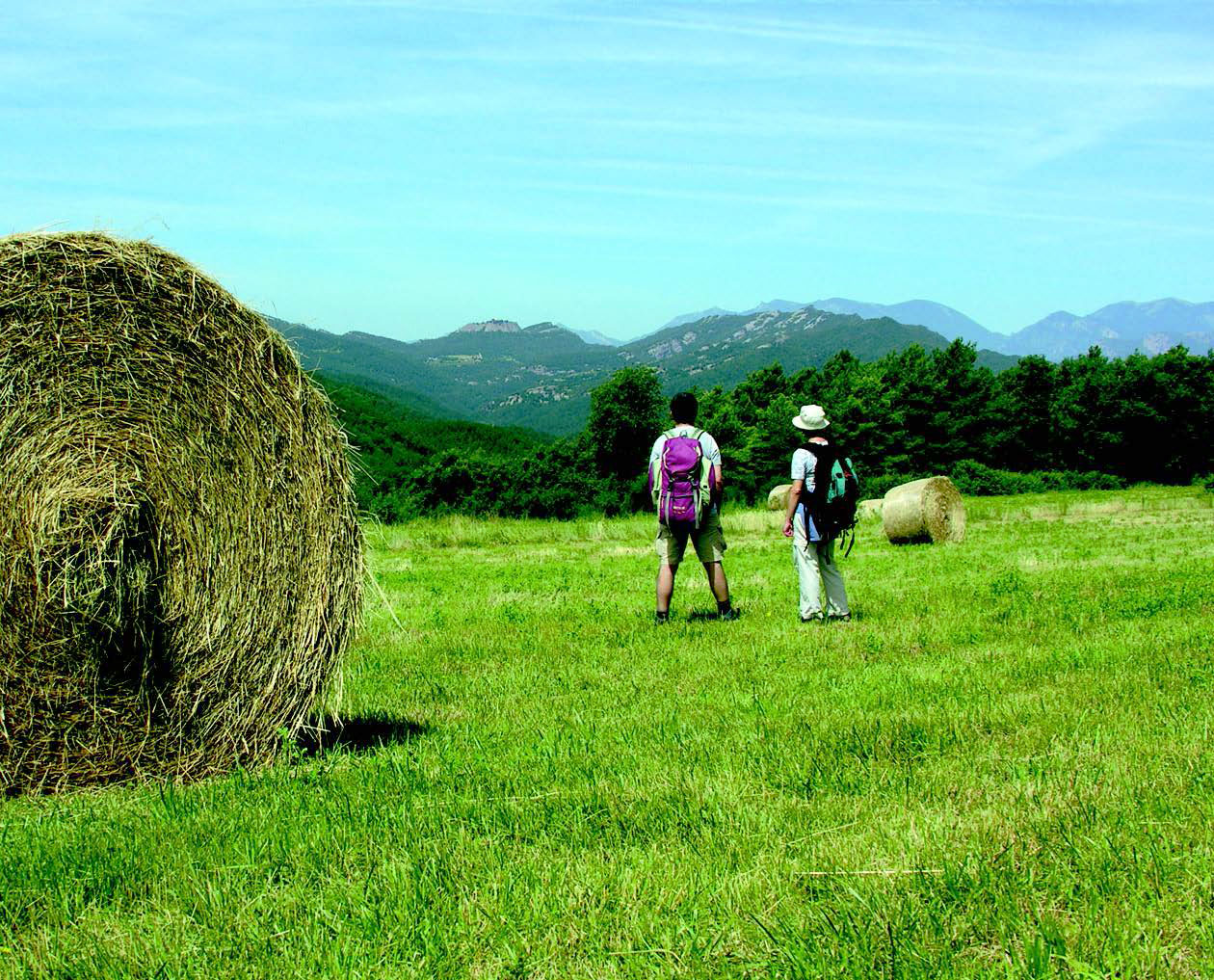 Els camps i els boscos es combinen a la perfecció durant la nostra ruta pel Lluçanès.