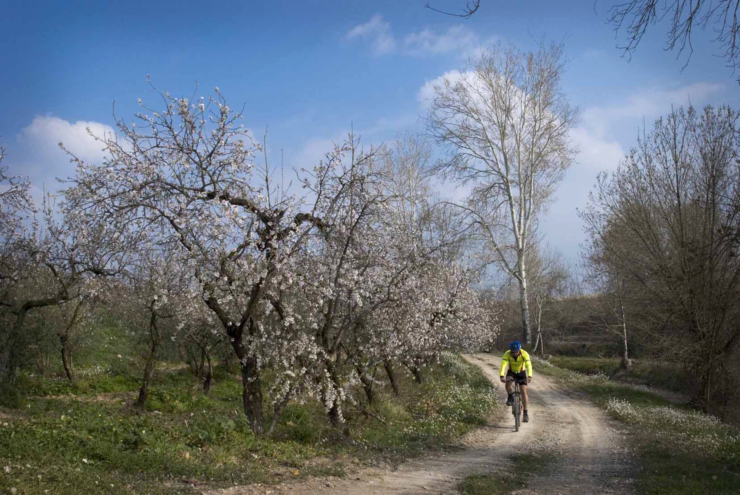 Pedalades fidels al canal d’Urgell