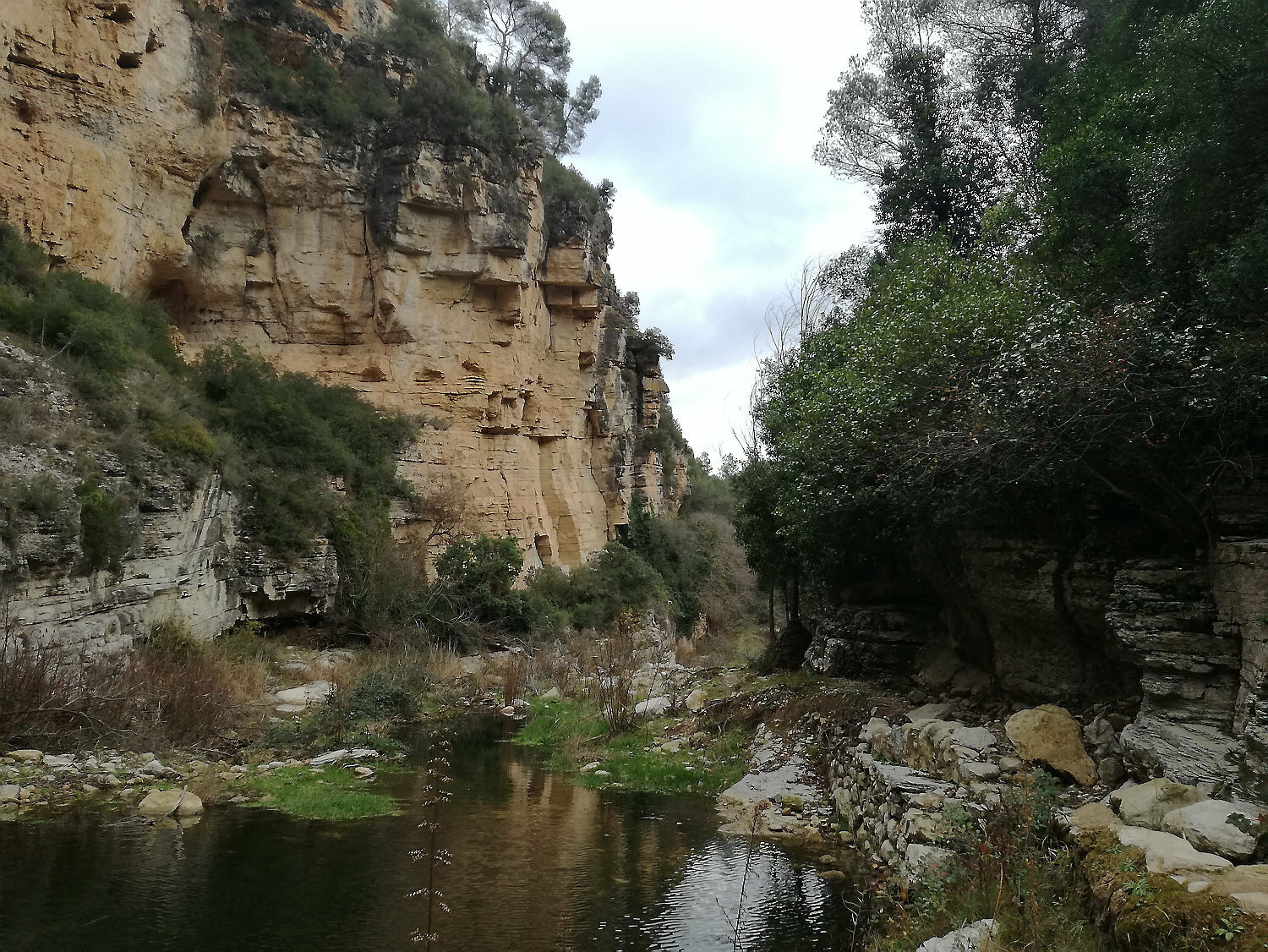 Els  més petits podran conèixer l’hàbitat d’amfibis per diferents basses que hi ha al llarg del camí