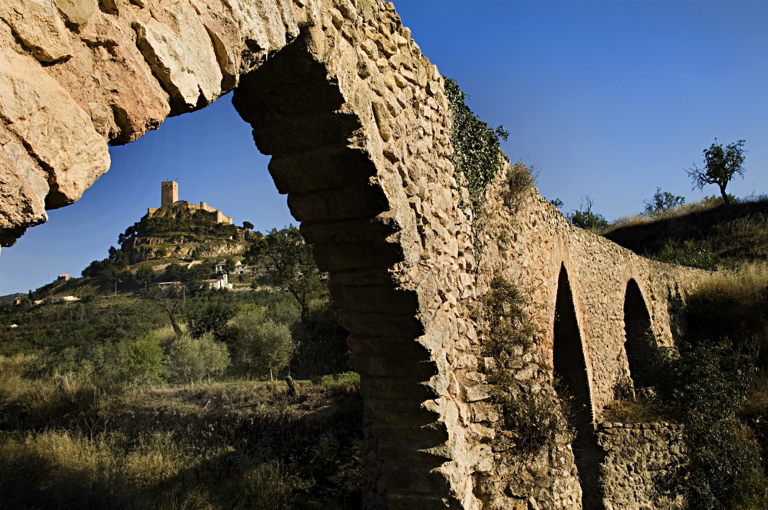 El robust castell de Biar fou el primer de la zona en caure a mans del rei Jaume I