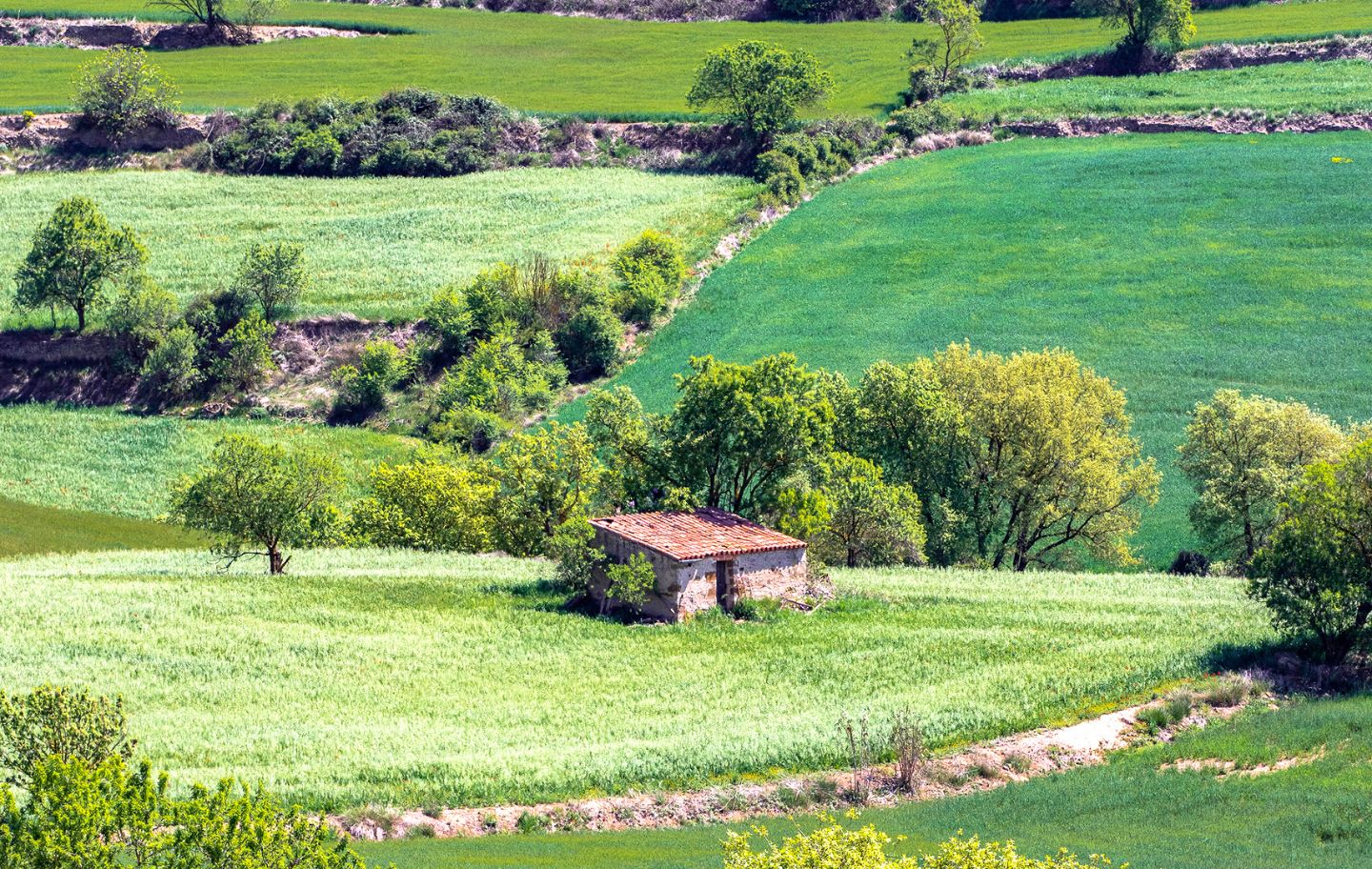 Sant Martí Sesgueioles, a la comarca de l’Anoia, és un municipi típicament segarrenc amb turons suaus entapissats de cereals, cabanes i marges de pedra seca.