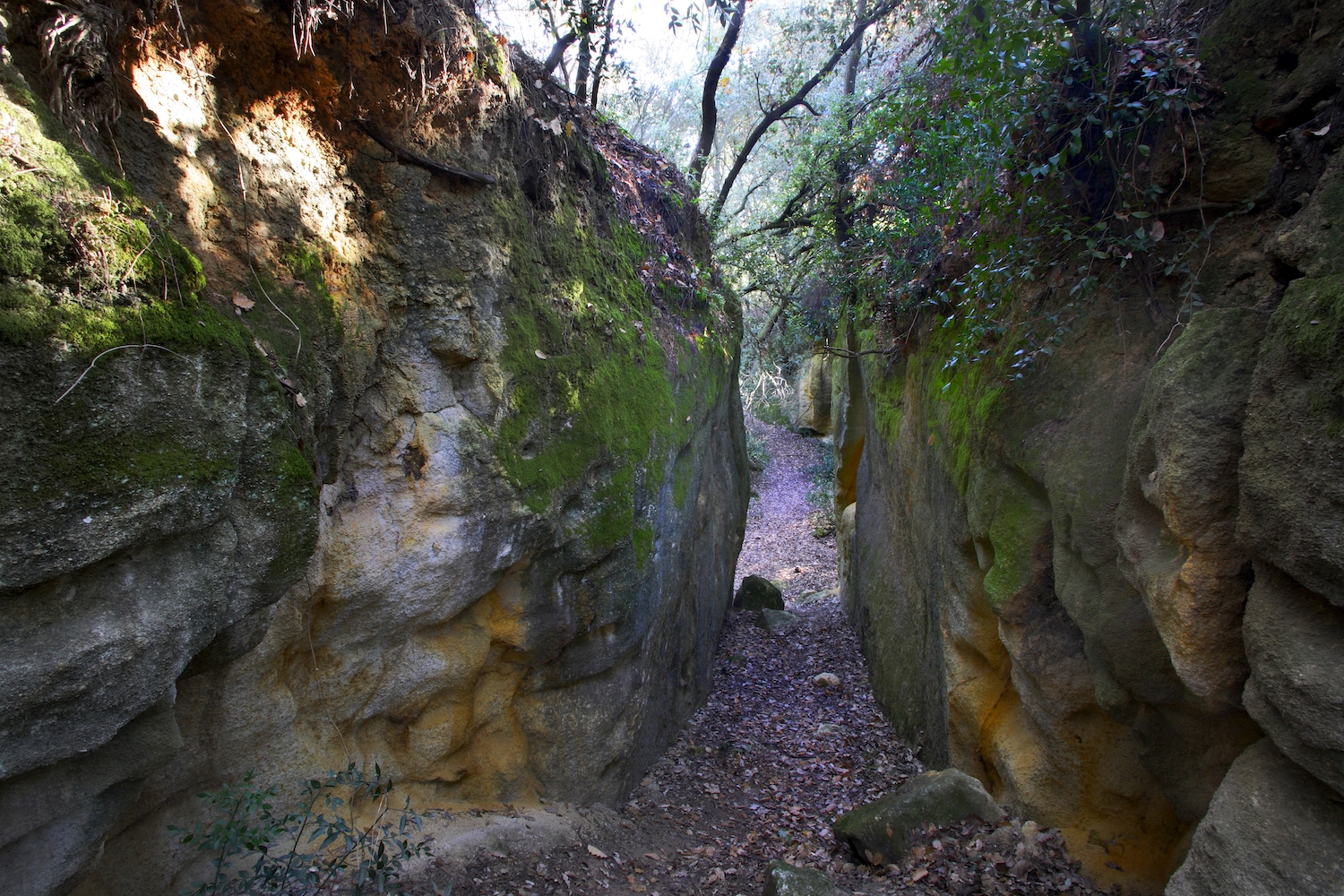 Als Clots de Sant Julià, situats en un bosc frondós de pins i alzines, hi ha una pedrera de gres que s’explotava a l’edat mitjana