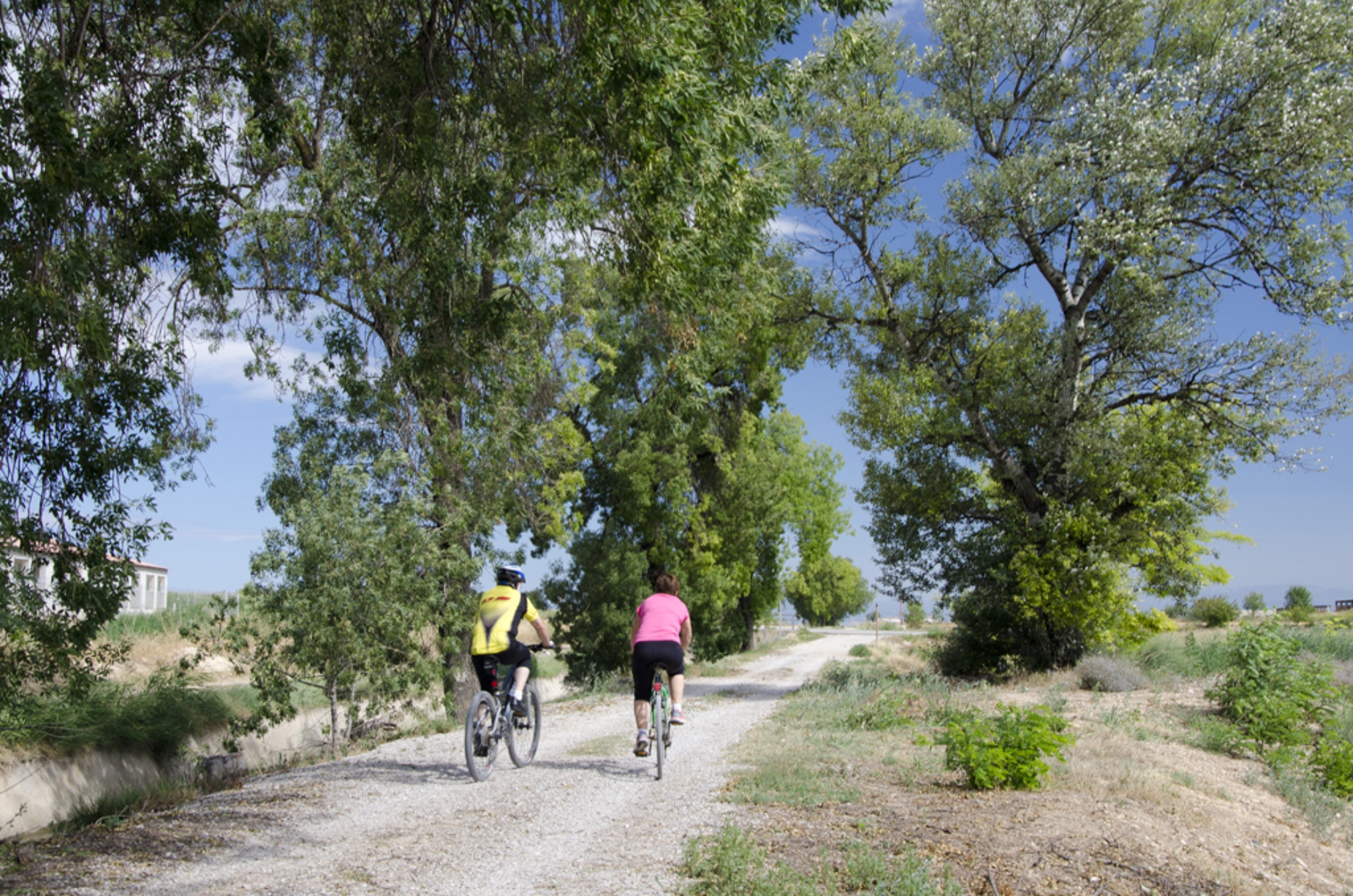 Pedalant per l’espai natural dels tossals de Torregrossa