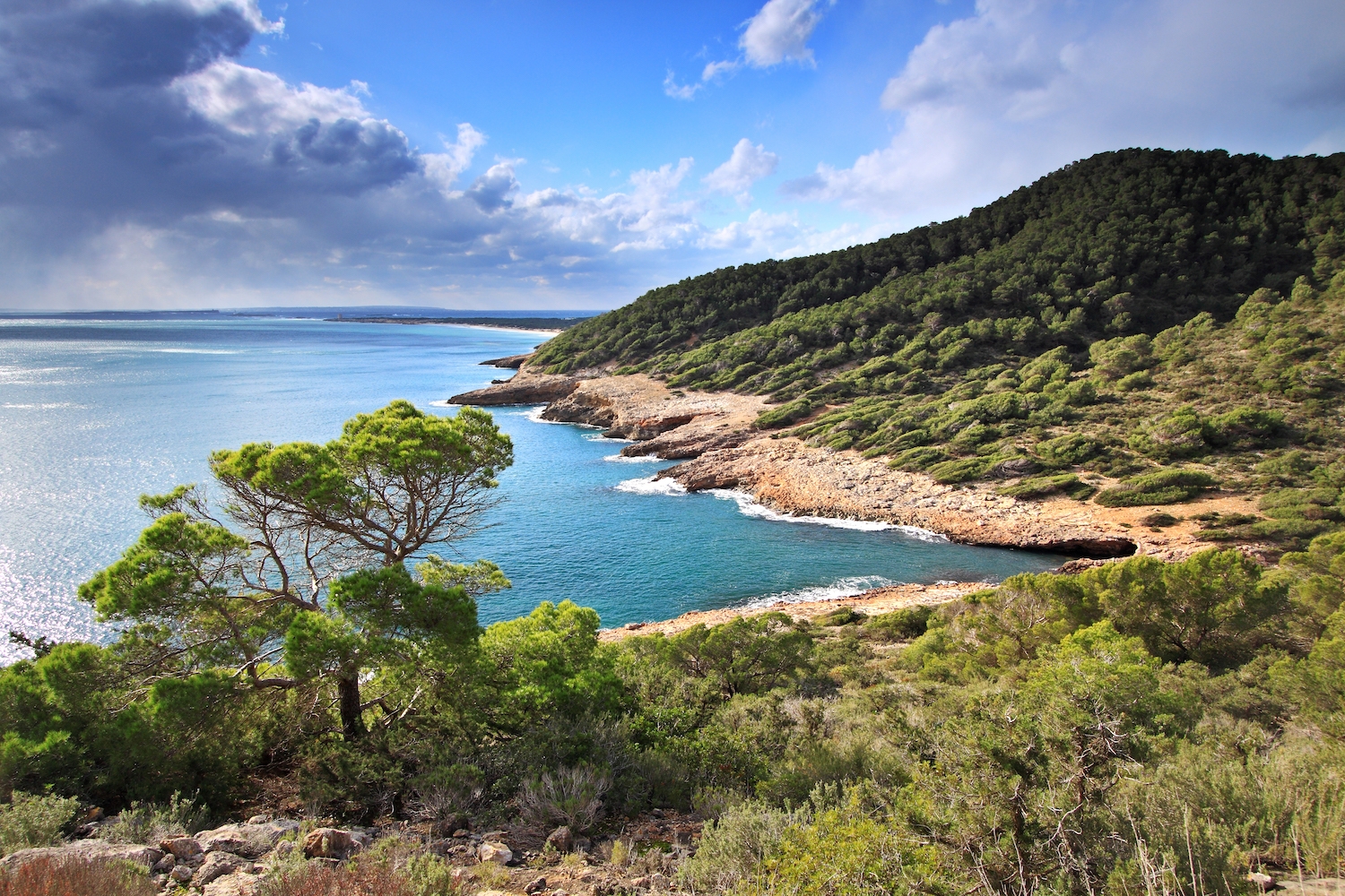 La cala Recuita, i, al fons, la platja des Cavallet, la punta de ses Torres, es Freus i Formentera, que també són dins del Parc Natural de ses Salines