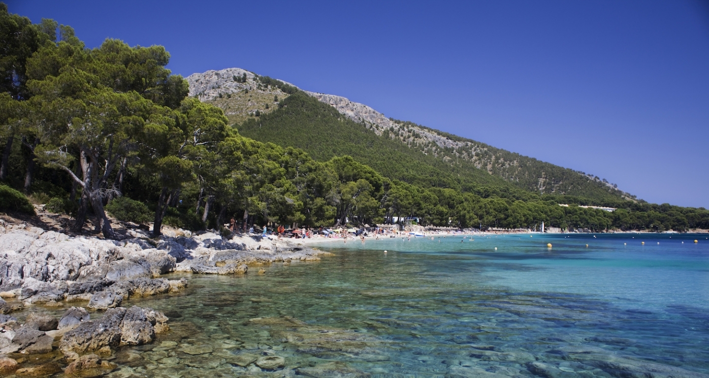 La platja de Formentor té el privilegi de rebre l’ombra dels pins just damunt la sorra