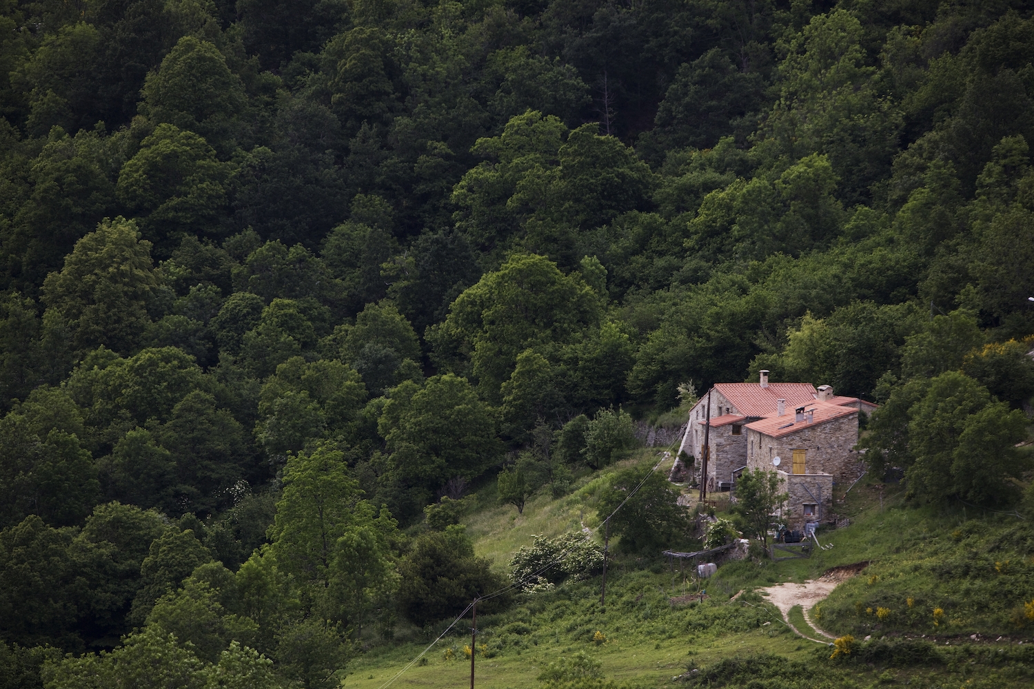 El Mas Arnaud, al poble de Montferrer, és una masia típica catalana on actualment viu la família Faure, que lloguen un espai de la casa per als hostes.