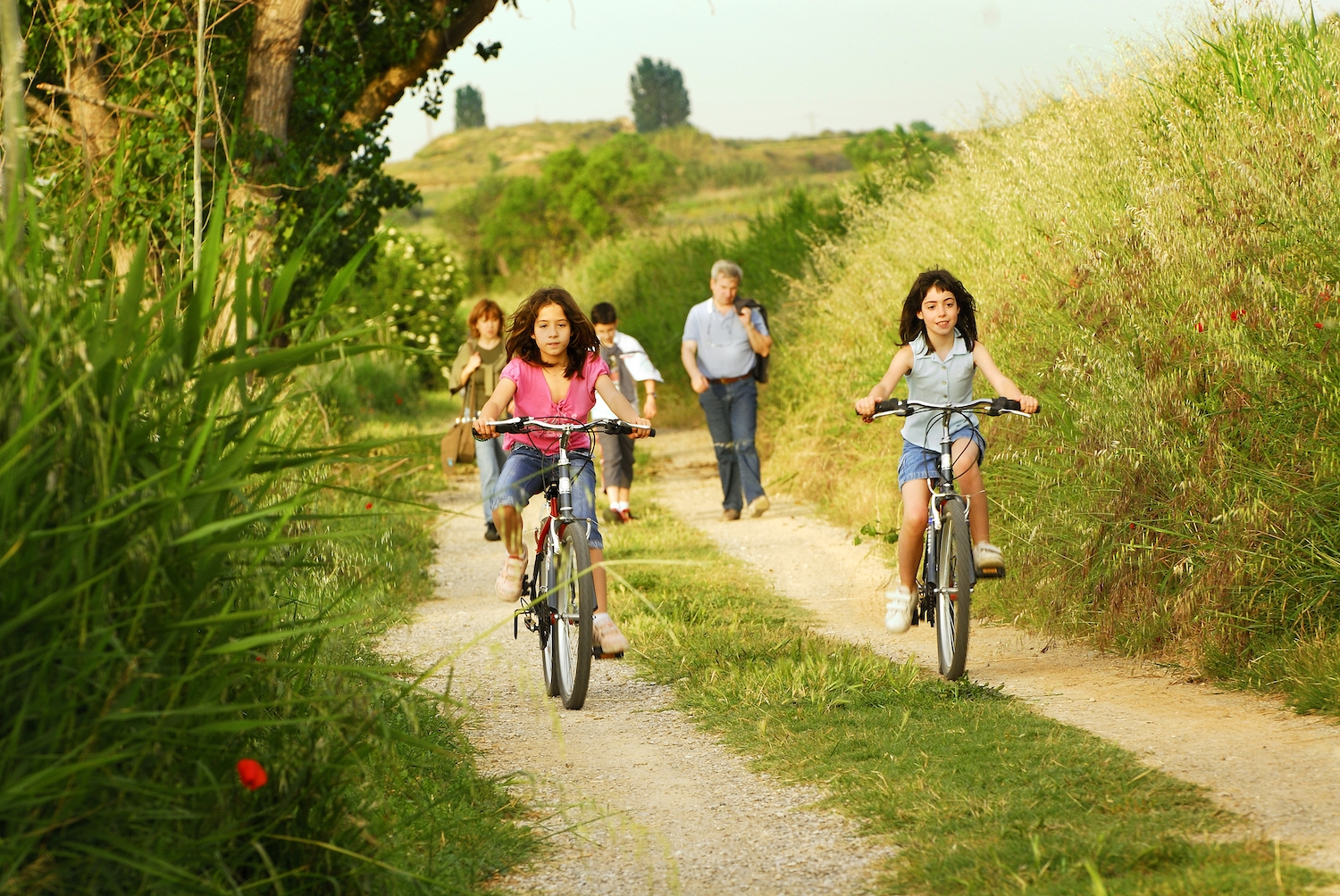 La visita pels itineraris de l’estany d’Ivars i Vila-sana es pot fer a peu, amb bici o a cavall