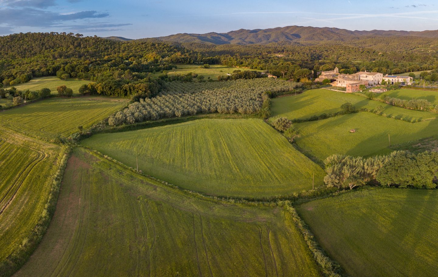 Massís de les Gavarres