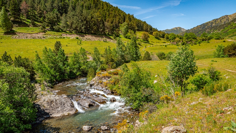 El riu Noguera Pallaresa transcorre per la Val d'Aran