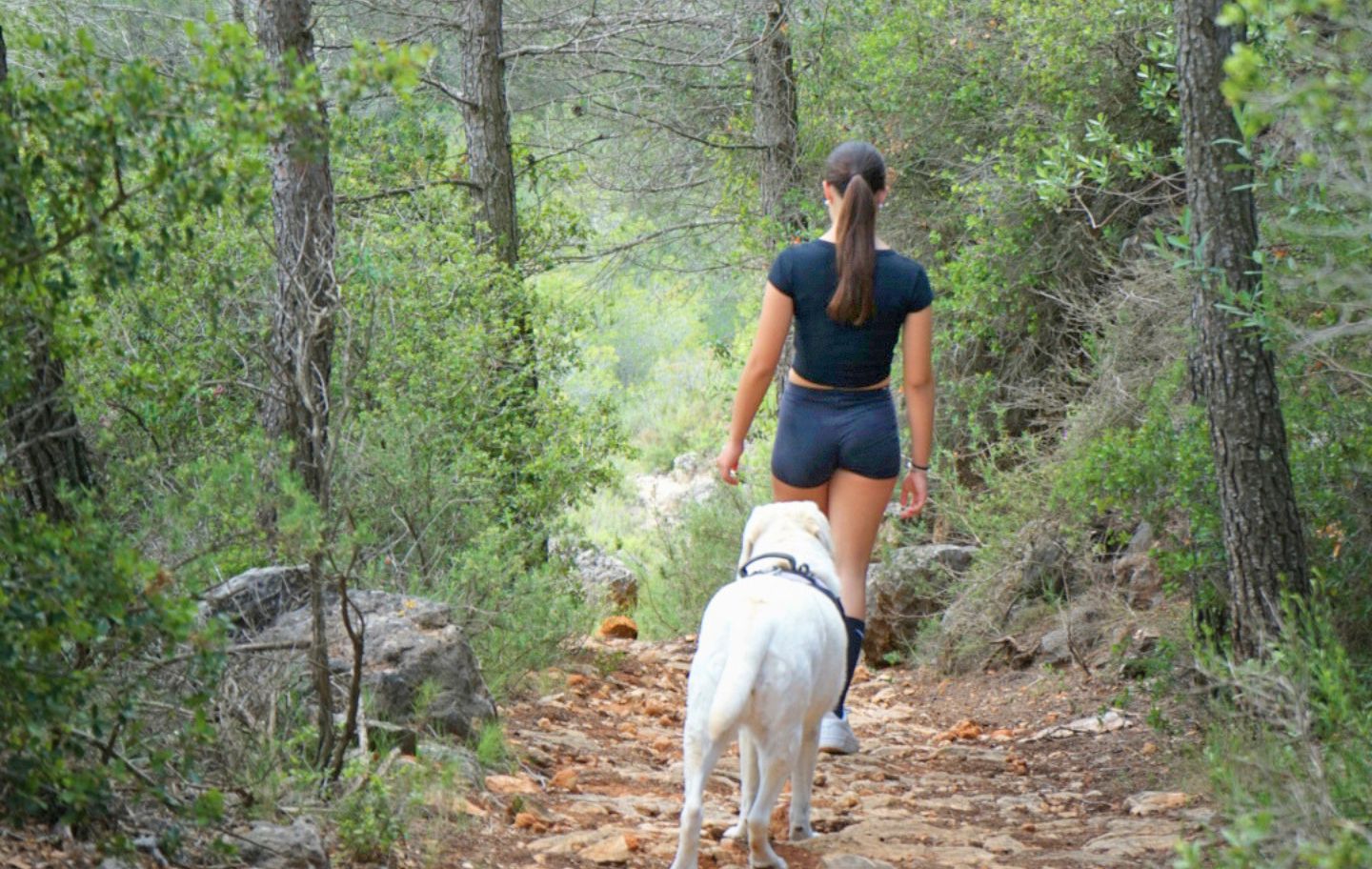 Boscos, camps i prats us guiaran per aquesta ruta que s’endinsa en paisatges verds i tranquils